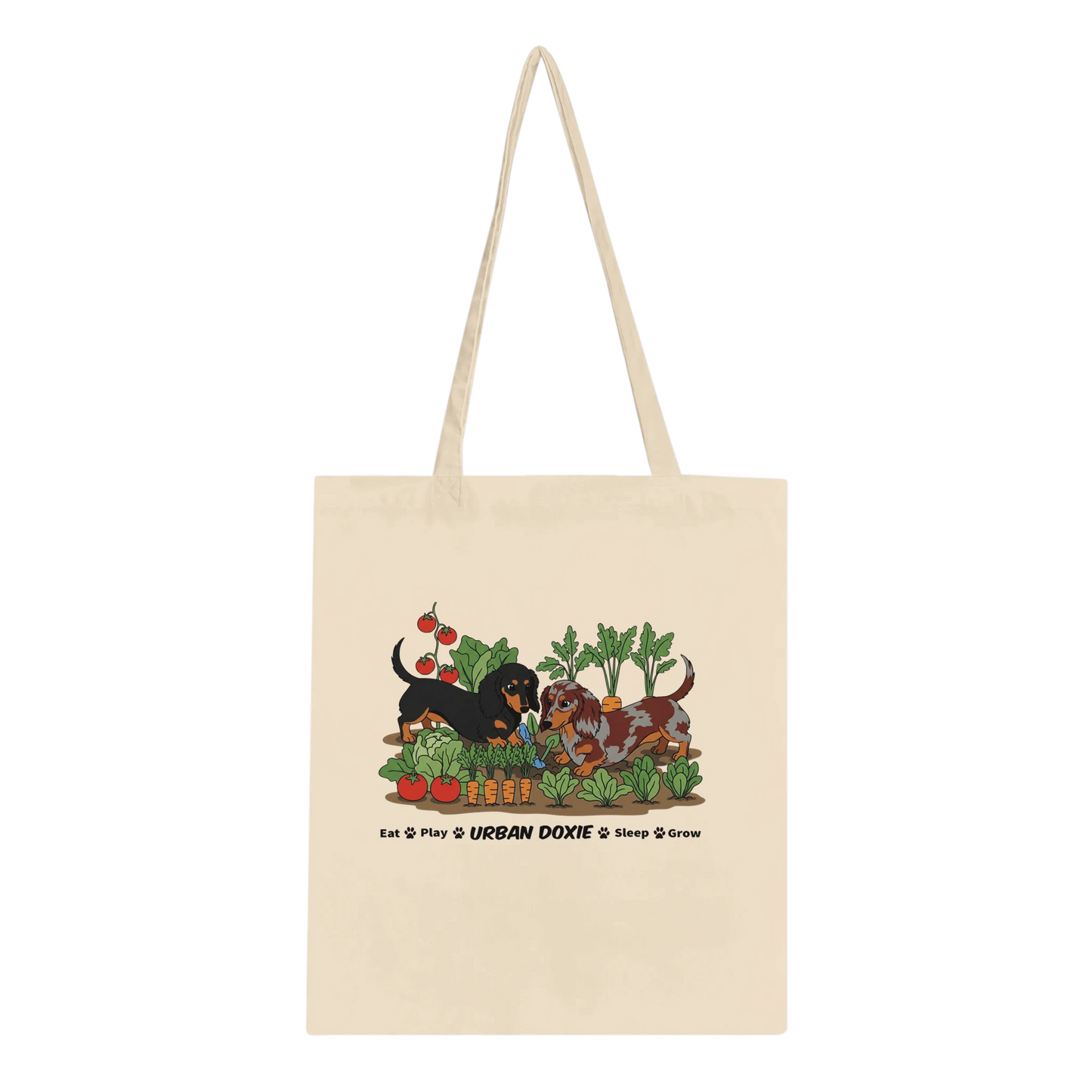 5c32c20c-9e7a-4897-88e8-dc34d51310f2