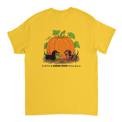 84fdff4b-9d13-4969-bb58-eca8eae03083