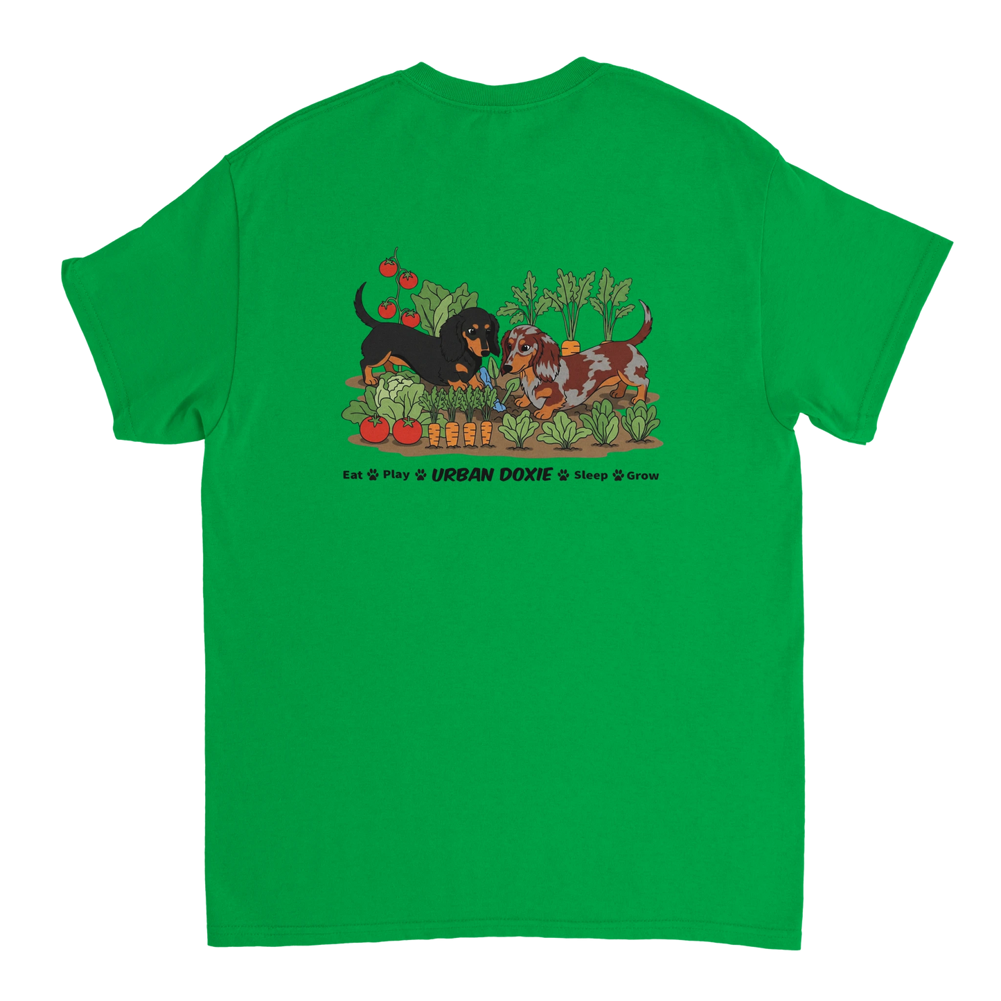 a1e591e3-a210-4023-980c-51281d3be60c