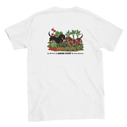 d8c33c83-6861-4eeb-836e-5e6da380ed6a