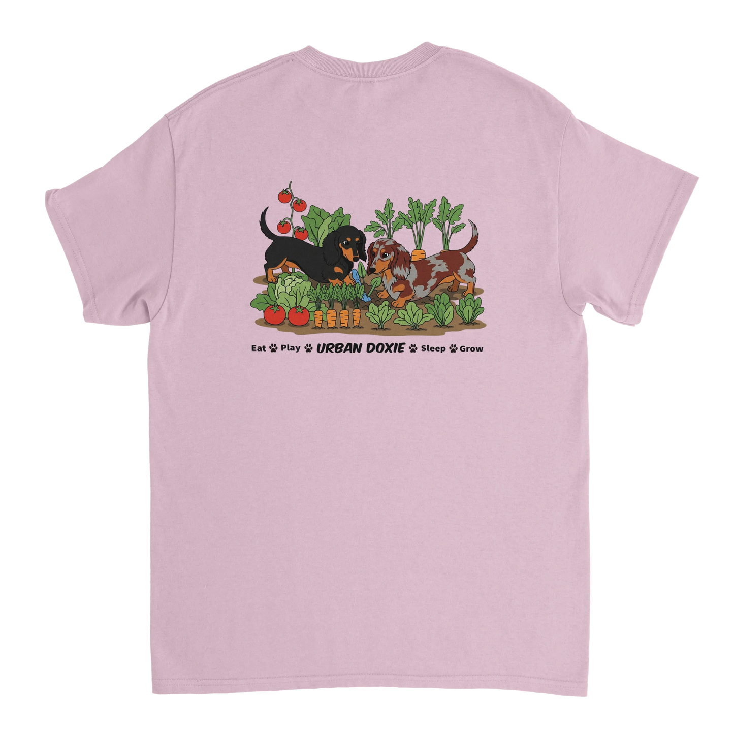 ef2702ba-063e-4ec7-bd20-b95daa867050